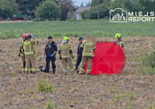 Mężczyzna wszedł na słup wysokiego napięcia, poraził go prąd i spadł na pole. 34-latek zginął na miejscu