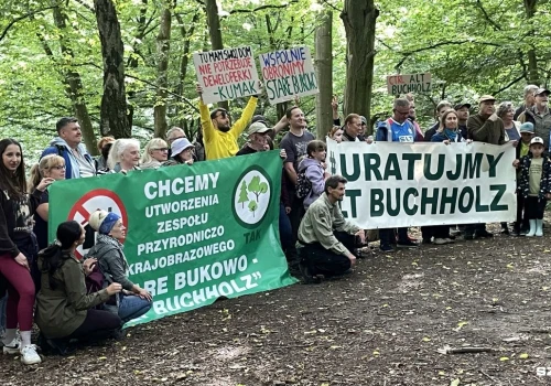Spacer w obronie Starego Bukowa-Alt Buchholz