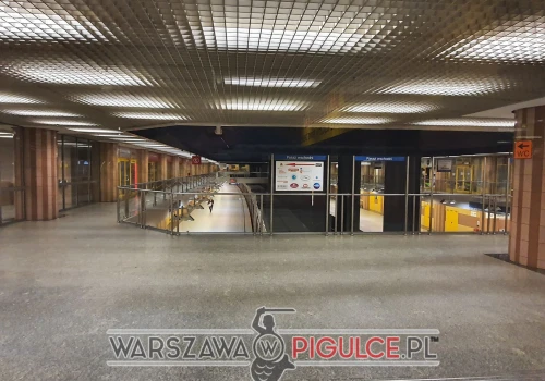 Ukrainiec sparaliżował warszawskie metro. Zapadła decyzja o deportacji i 10-letnim zakazie wjazdu