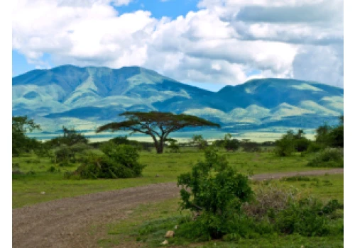 Polska misja archeologiczna rozpoczęła regularne badania w Serengeti w Tanzanii