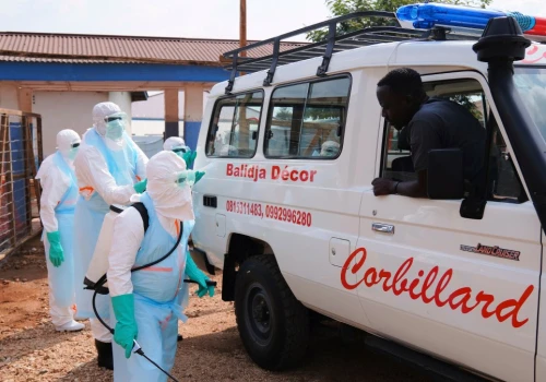 Wielka liczba ofiar epidemii wirusa. Na niego nie ma szczepionki