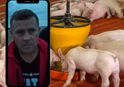 „My nie doczekamy jesieni”. Rolnicy ostro krytykują nowy plan ministra