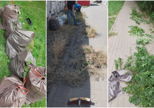 Bezrobotni pomagają sprzątać kolejne miejsca na terenie Świdnicy