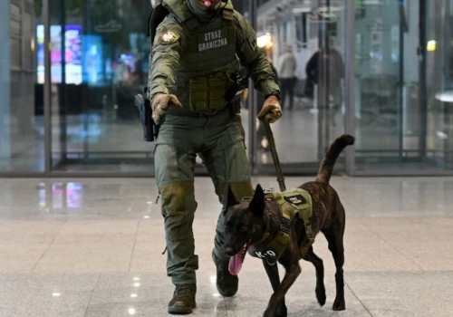 Miały być wymarzone wakacje w Bułgarii. Palnęła w Pyrzowicach, że ma bombę i zostało jej Chechło