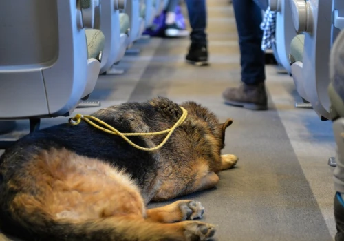 PKP Intercity zmienia cennik. Będzie nowa jednolita opłata