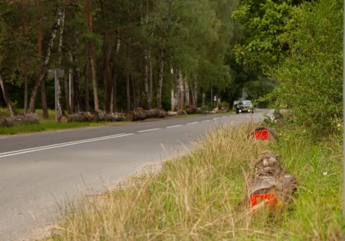 Kto podjął decyzję o ułożeniu kłód przy Sosinie? Urzędnicy nabrali wody w usta. MZDiM Jaworzno: Filozofowanie i dociekanie nie należą do naszych zadań