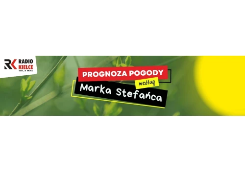 Zderzenie na drodze krajowej