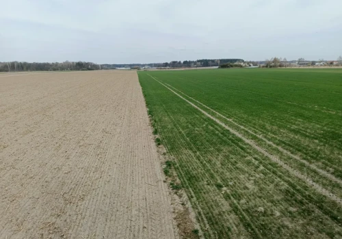 Zakup ziemi rolnej. Zanim zgodzisz się na cenę, sprawdź transakcje z okolicy