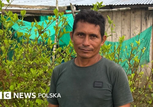Rosnący popyt na kokainę utrudnia kolumbijskim rolnikom odejście od upraw koki