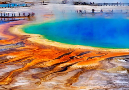 Turystki zlekceważyły zakaz w Yellowstone. Jeden krok mógł skończyć się tragedią