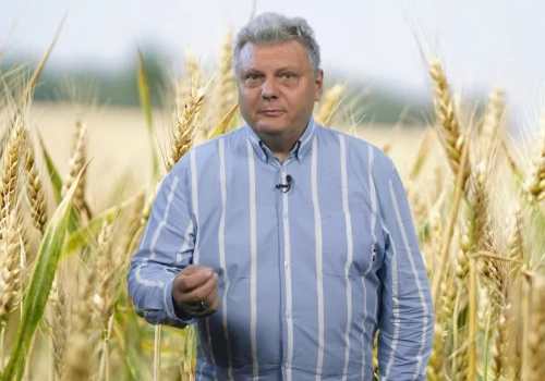 Ryzykowne czekanie na większe ceny – Rynkowy Serwis Spod Lady – 24.07.26 r.