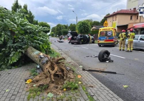54-letni kierowca stracił panowanie nad samochodem. Siłą uderzenia wyrwał przydrożne drzewo