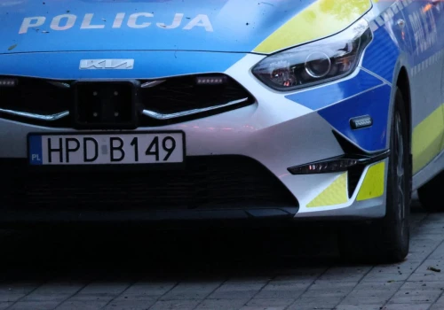 18-latka zatrzymana po zranieniu 8-letniej dziewczynki w Zamościu. Była nietrzeźwa