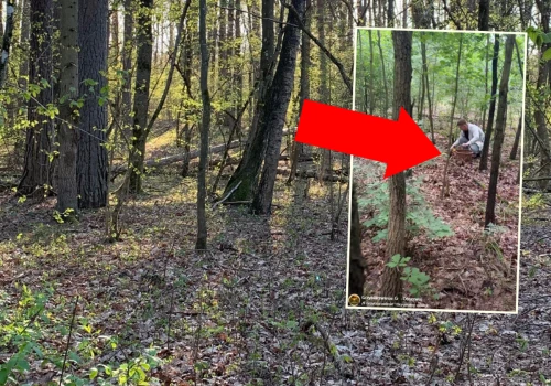 Grzybiarz poszedł do lasu, od razu chwycił za telefon. 