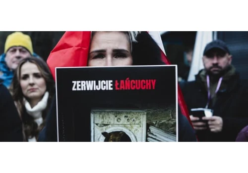 Prezydent za zakazem trzymania psów na łańcuchach