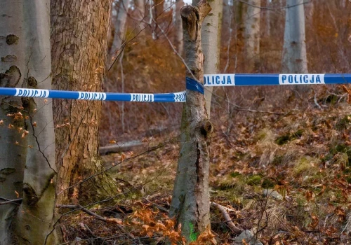 Wraca sprawa brutalnej zbrodni na 13-letniej Izie. Służby dopadły go po 15 latach