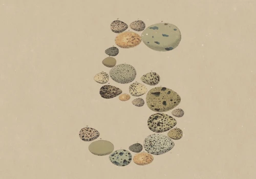 Anthropic wypuszcza Claude Opus 5: poziom modelu Fable 5 za połowę ceny