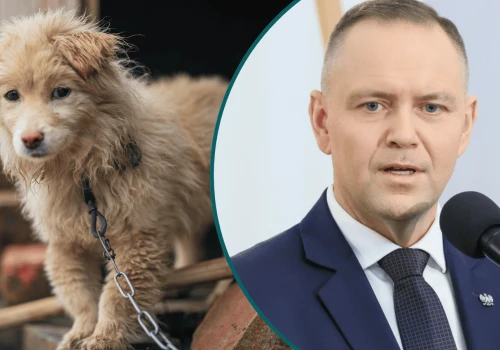 Karol Nawrocki podpisał ustawę łańcuchową. Na to rozwiązanie czekało miliony Polaków. Jest decyzja prezydenta ws. psów i kotów