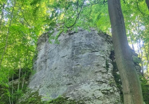 Jurajskie skały pod lepszą ochroną. Zmieniono przebieg dróg wspinaczkowych