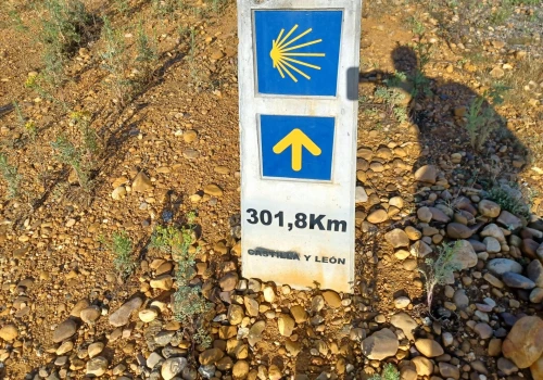 Camino de Santiago pełne pątników. Ile Dróg Jakubowych jest w Polsce?