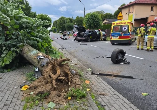 Aż trudno uwierzyć, że w tym wypadku nikt nie odniósł poważnych obrażeń
