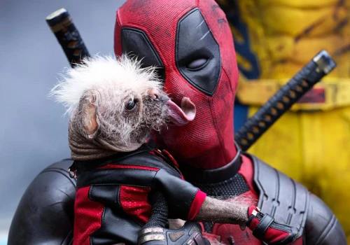 Ryan Reynolds o swojej przyszłości w Marvel Cinematic Universe: 