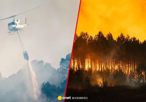 Europejskie kraje walczą z ogniem. Francja wysłała na miejsce wojsko