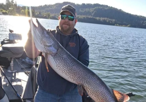 Wędkarz ledwo go mógł utrzymać. Rekordowy szczupak mierzy blisko 127 cm