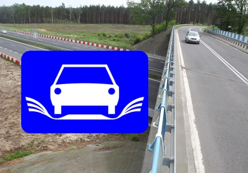 To nie skrzydła. Co oznacza ten znak? Wielu kierowców dowiaduje się za późno
