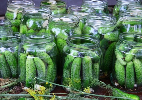 To najlepsza sól do kiszenia ogórków. Nie opóźnia procesu fermentacji