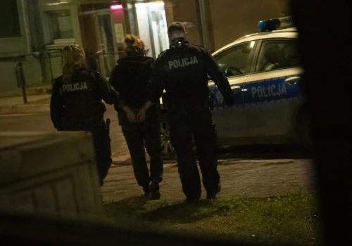 Zgłosiła interwencję, trafiła do aresztu