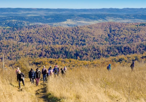 Ceny biletów do parków czekają podwyżki. Chodzi o siedem lokalizacji