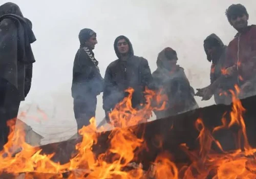 Austria przestaje panować nad imigranckimi przestępcami