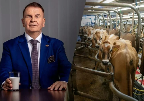 Mlekovita ma rekordowy rok. Tyle mleka skupiła od polskich rolników