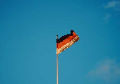 Podliczono program AfD. Nikt nie zyska, straci gospodarka