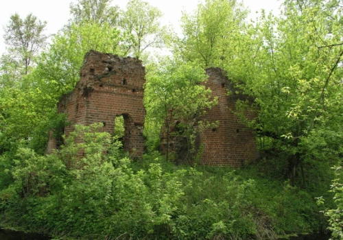 Archeolodzy UŁ badają ruiny renesansowego dworu w Mikorzycach