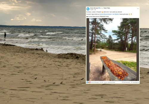 Wysyp bursztynów nad Bałtykiem. Pokazali imponujące zbiory