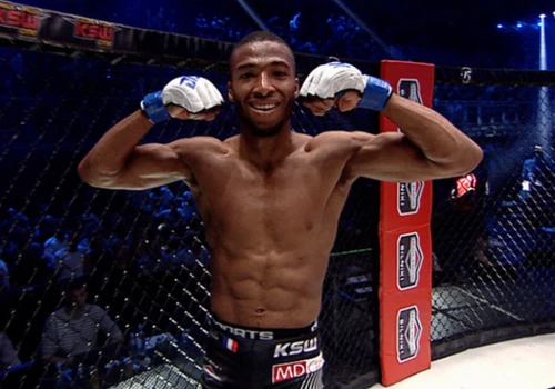 Parnasse nowym zawodnikiem UFC! Zawalczy z byłym rywalem Gamrota