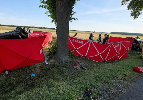 Śmiertelny wypadek na DK74 w Wójcinie. Nie żyje dwoje dzieci