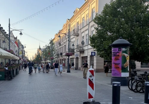 Piotrkowska znów bez jednego słupka. To już drugie uszkodzenie systemu