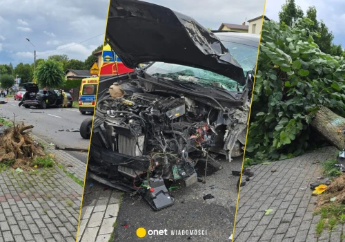 Siłą uderzenia wyrwał drzewo z korzeniami. Niebezpieczna kolizja na Śląsku