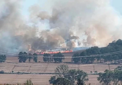 Ogień strawił ponad 20 hektarów upraw. Groźny pożar pod Jerzmanicami-Zdrojem