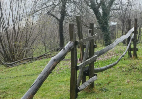 Brzydki płot sąsiada? Tylko w tych przypadkach możesz żądać jego usunięcia