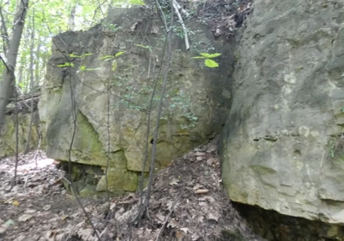 Skałka pod Ogonem w Długoszynie - dolomity sprzed 205 mln lat