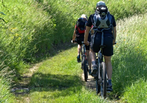 Droga była tylko dla rolników. Rowerzysta przegrał walkę o odszkodowanie