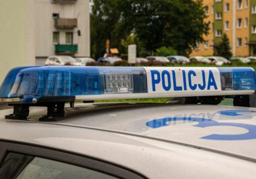 18-latka aresztowana po ataku na 8-letnią dziewczynkę