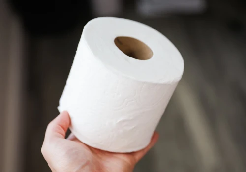Masz dość komarów w mieszkaniu? Rolka papieru toaletowego skrywa patent, o którym mało kto wie