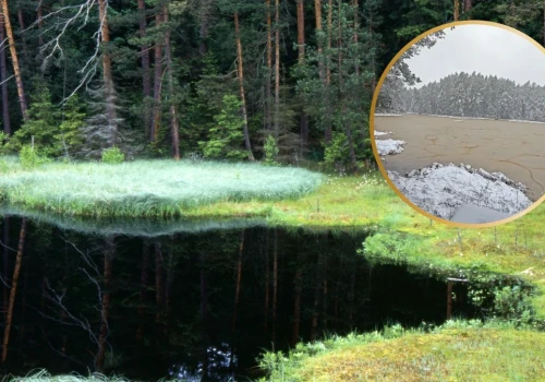 Jeziora zmieniły barwę. Są ciemniejsze i te ryby znikają w związku z tym