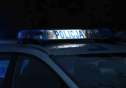Wypadek nad Jeziorem Kierskim. Samochód potrącił kobietę i wjechał do wody