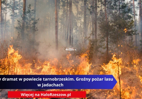 Nocny dramat w powiecie tarnobrzeskim. Groźny pożar lasu w Jadachach